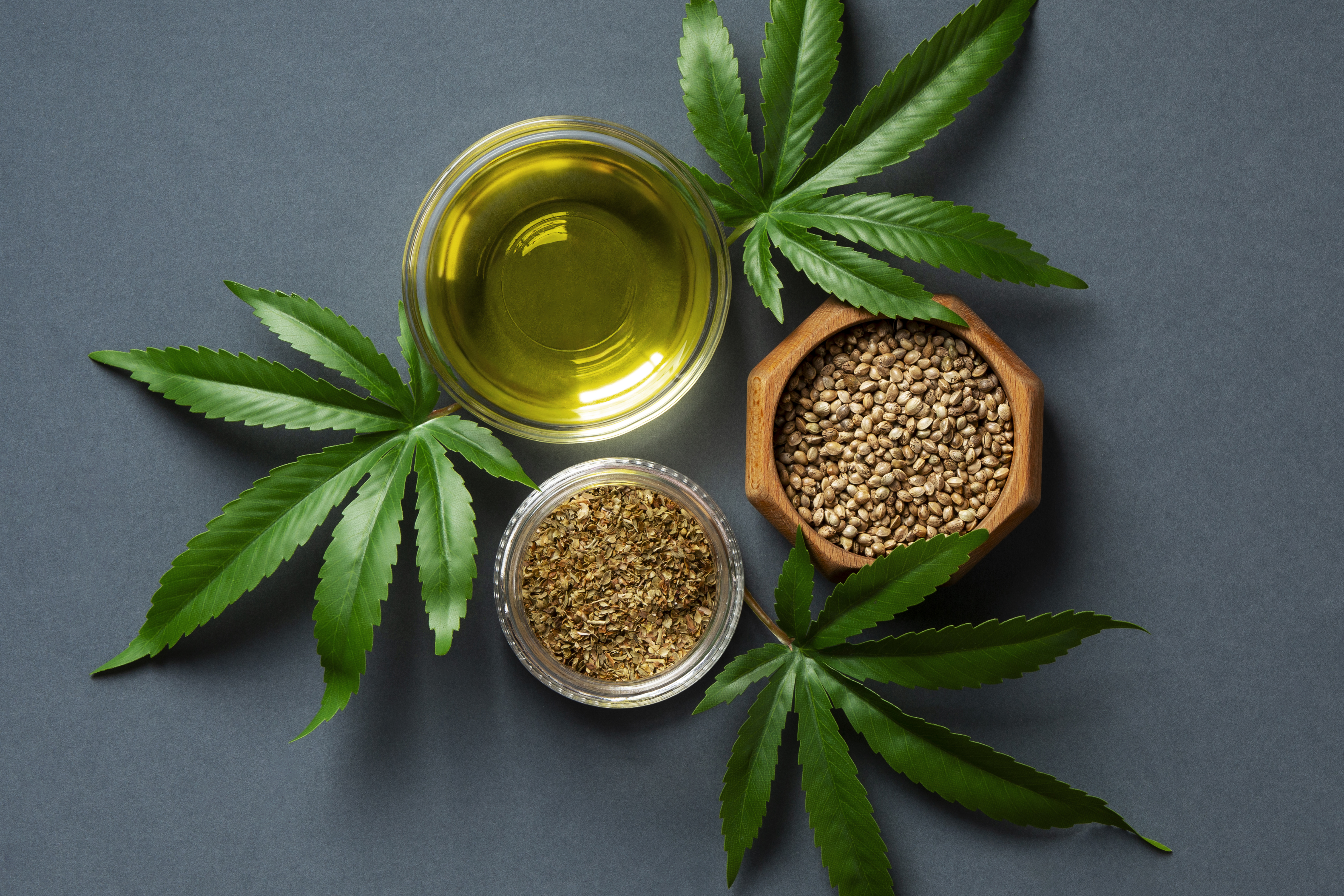 Vitrine La Panthère Noire